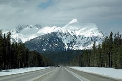 16 Mount White Tail and Mount Wardle From Highway 93 On Drive From Castle Junction To Radium In Winter.jpg
